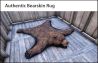 Authentic%20Bearskin%20Rug.png